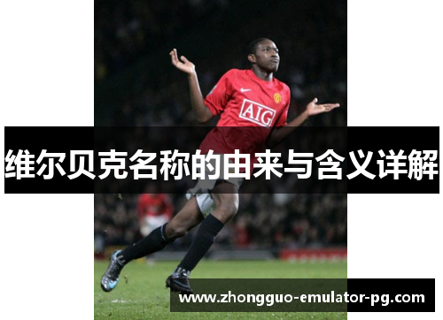 维尔贝克名称的由来与含义详解