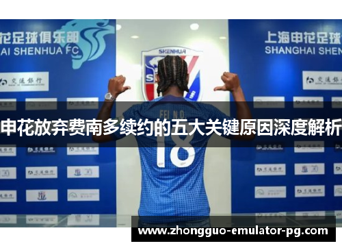 申花放弃费南多续约的五大关键原因深度解析
