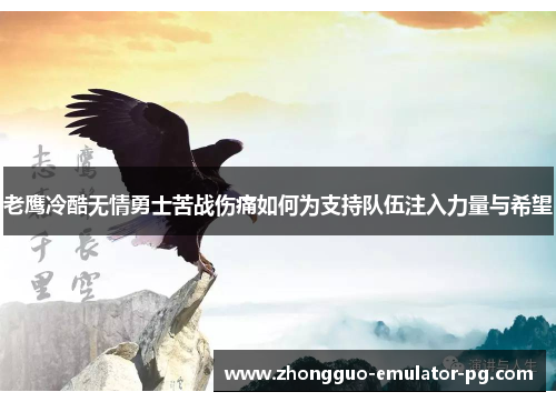 老鹰冷酷无情勇士苦战伤痛如何为支持队伍注入力量与希望 老鹰冷酷无情勇士苦战伤痛如何为支持队伍注入力量与希望