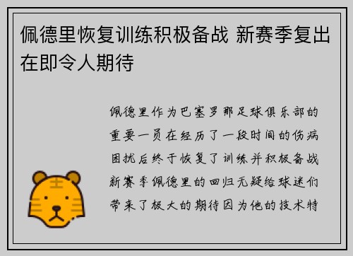 佩德里恢复训练积极备战 新赛季复出在即令人期待