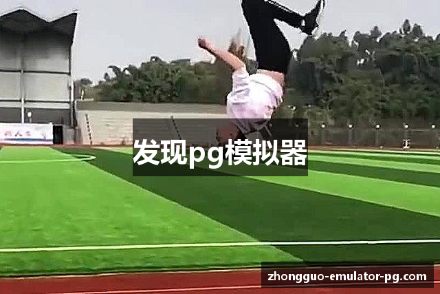 发现pg模拟器